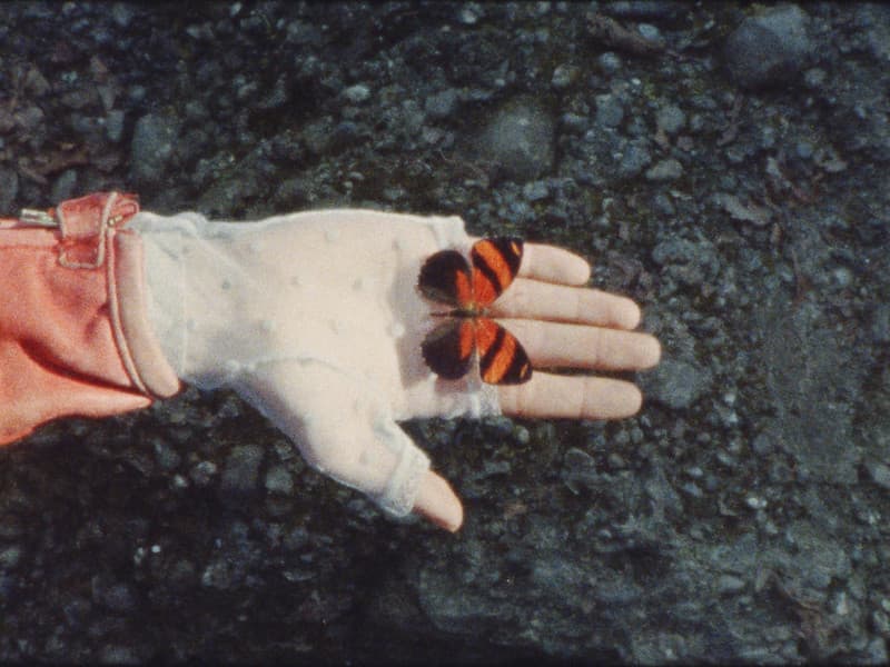 Palmarès Internationale Kurzfilmtage Winterthur