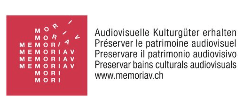 Too big to archive - Memoriav Fachtagung