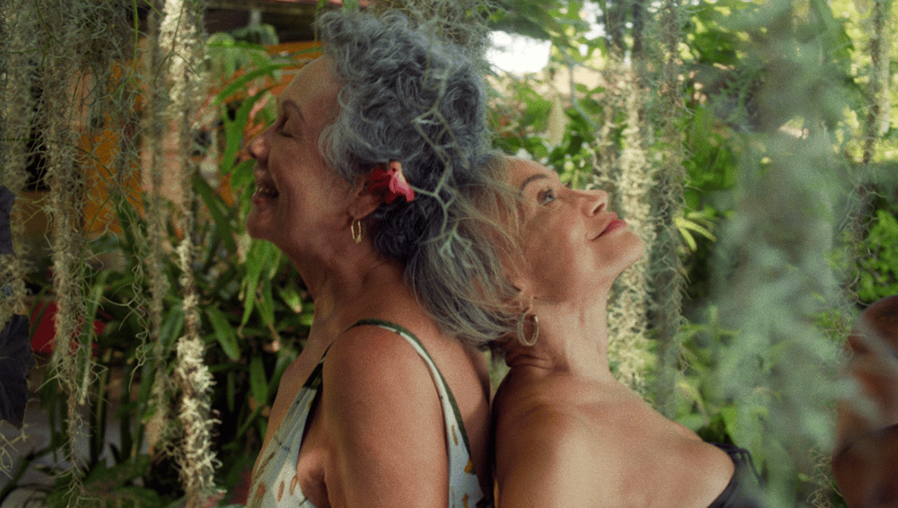 Programm des 39. FIFF