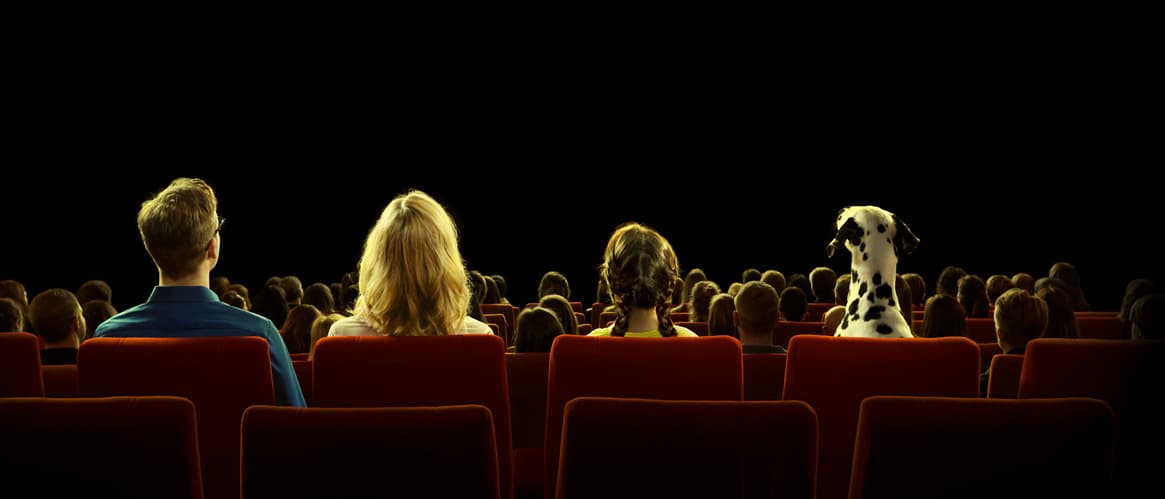 Drei Filme aus dem Schweizer Wettbewerb