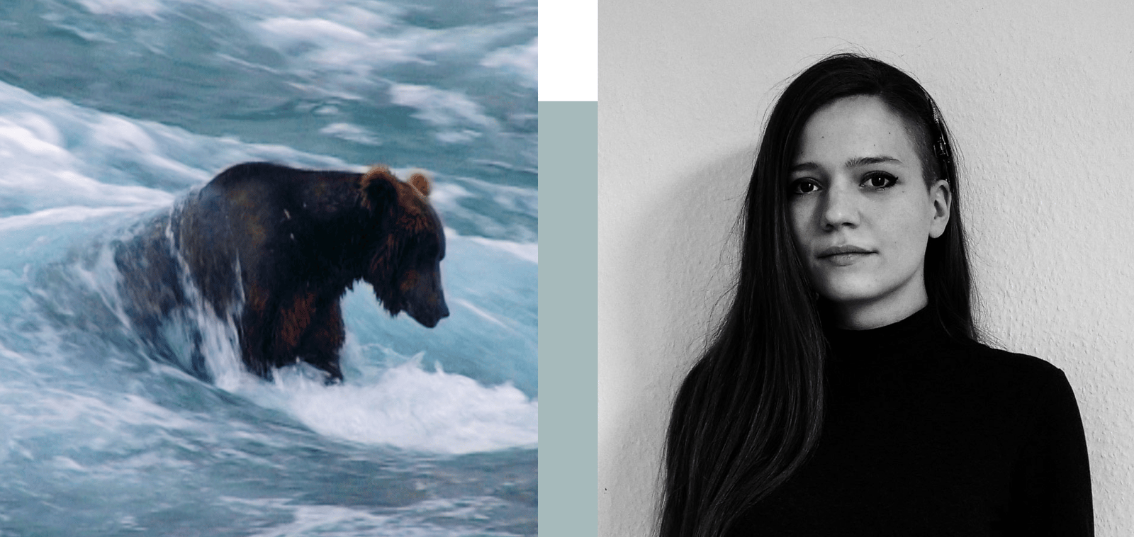 D'ours et d'hommes