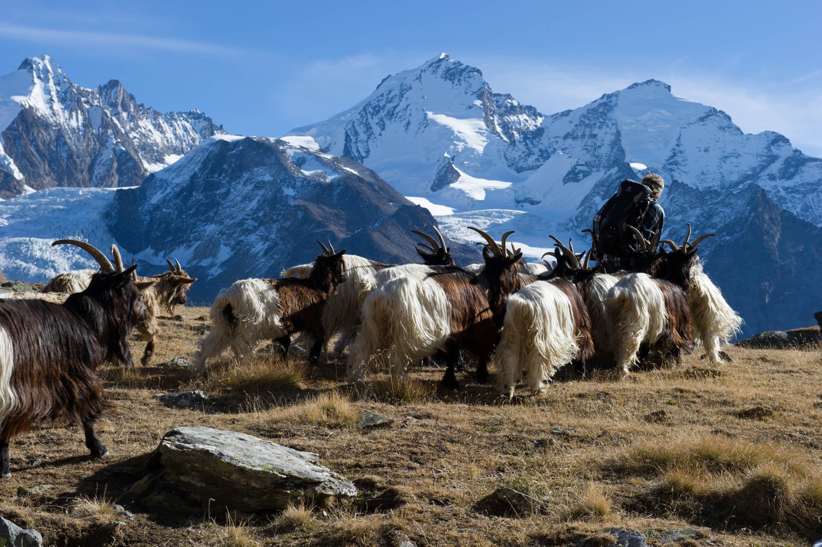 So attraktiv ist die Walliser Filmkulisse