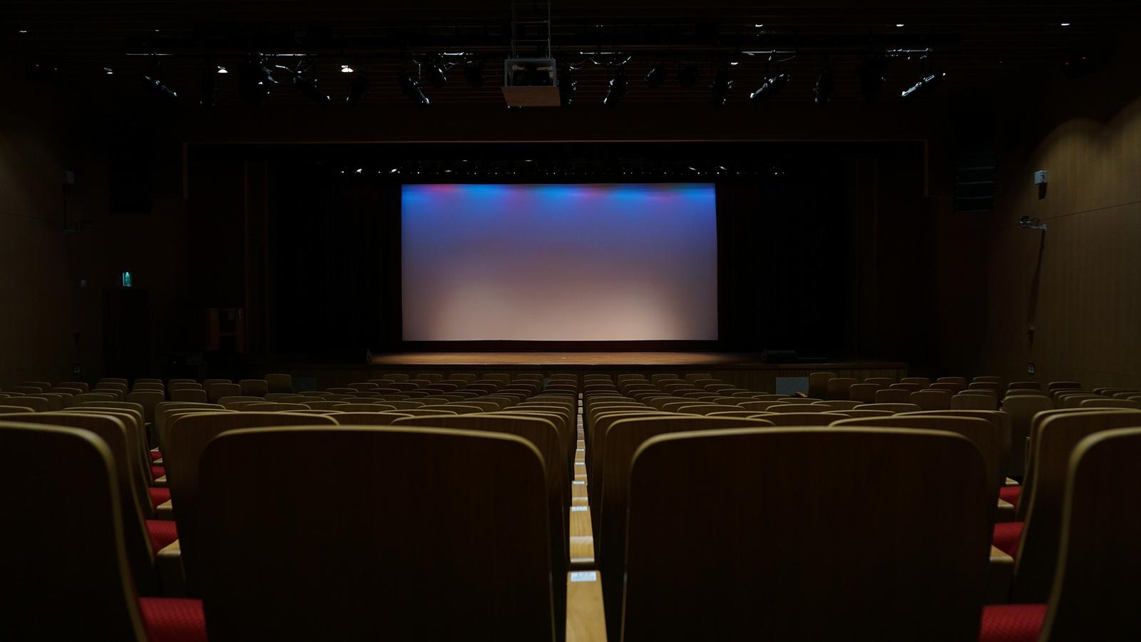 Anwaltschaftliches Kino